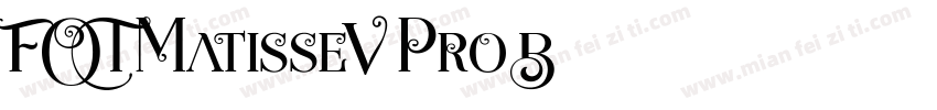 FOT-MatisseV Pro B字体转换